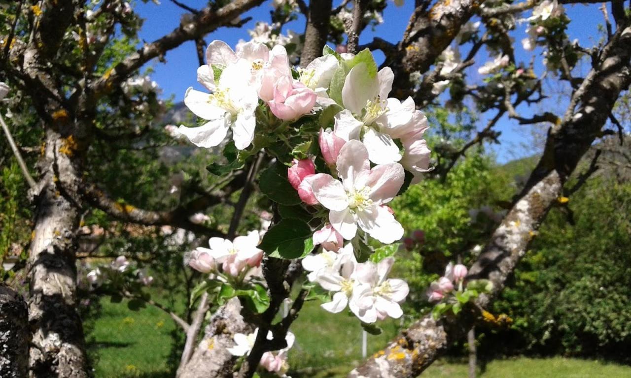 Bnb Castellane Chambre D'Hotes B&B ภายนอก รูปภาพ